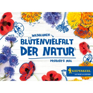 Kiepenkerl Wildblumen-Set: Blütenvielfalt mit Ringelblume, Mohn und Kornblume für naturnahe Gärten.