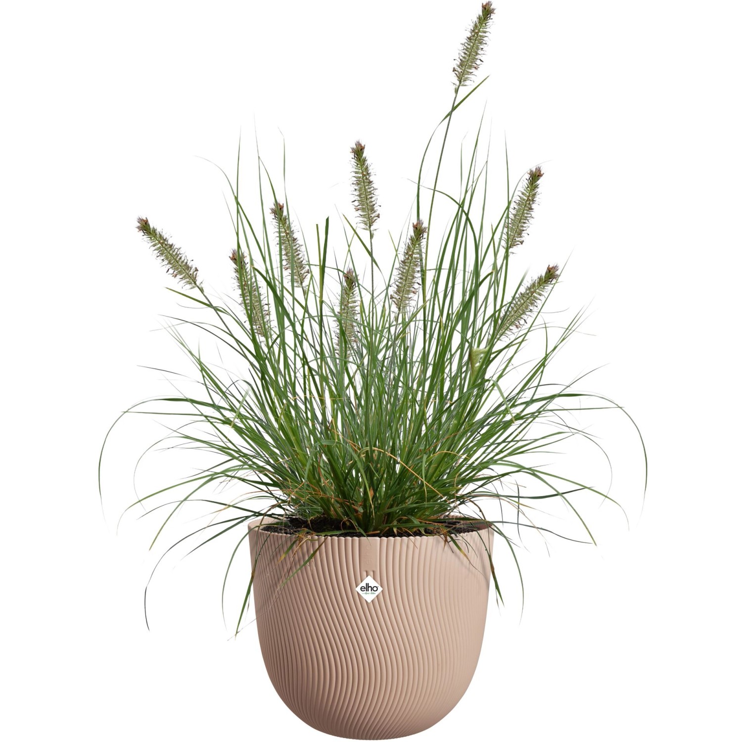 Elho Blumentopf Sereh, Ø 39 cm, braun, mit Pflanze. Strukturierter Topf für Innen- und Außenbereich.