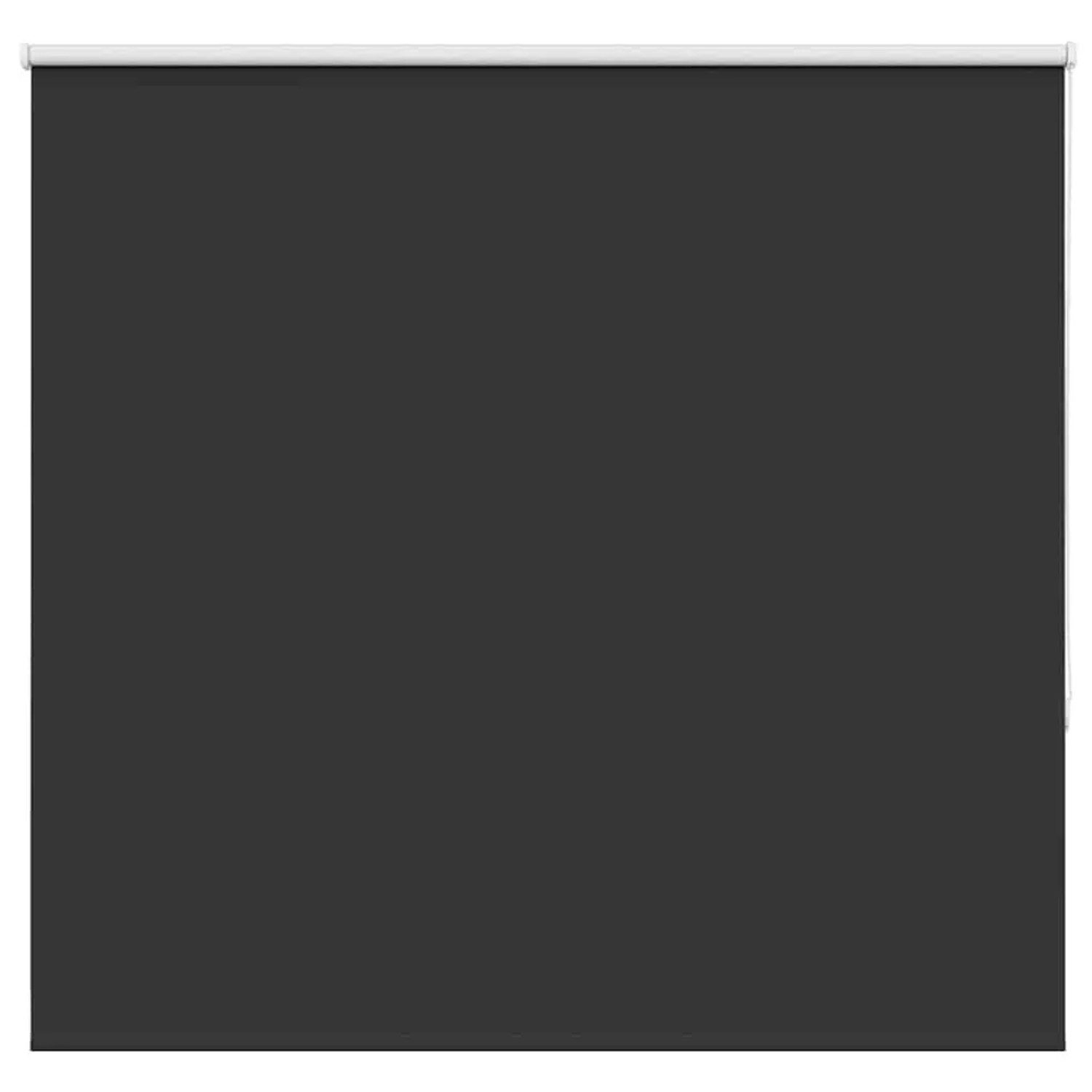 vidaXL Verdunkelungsrollo Schwarz 165x130 cm Stoffbreite 161,6 cm 4010855