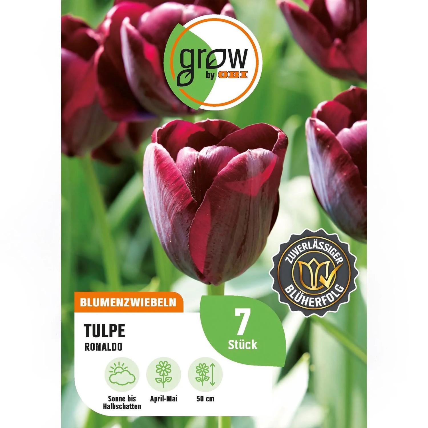 GROW by OBI Tulpe Ronaldo Rot 5 Stück Tulipa triumph Ronaldo