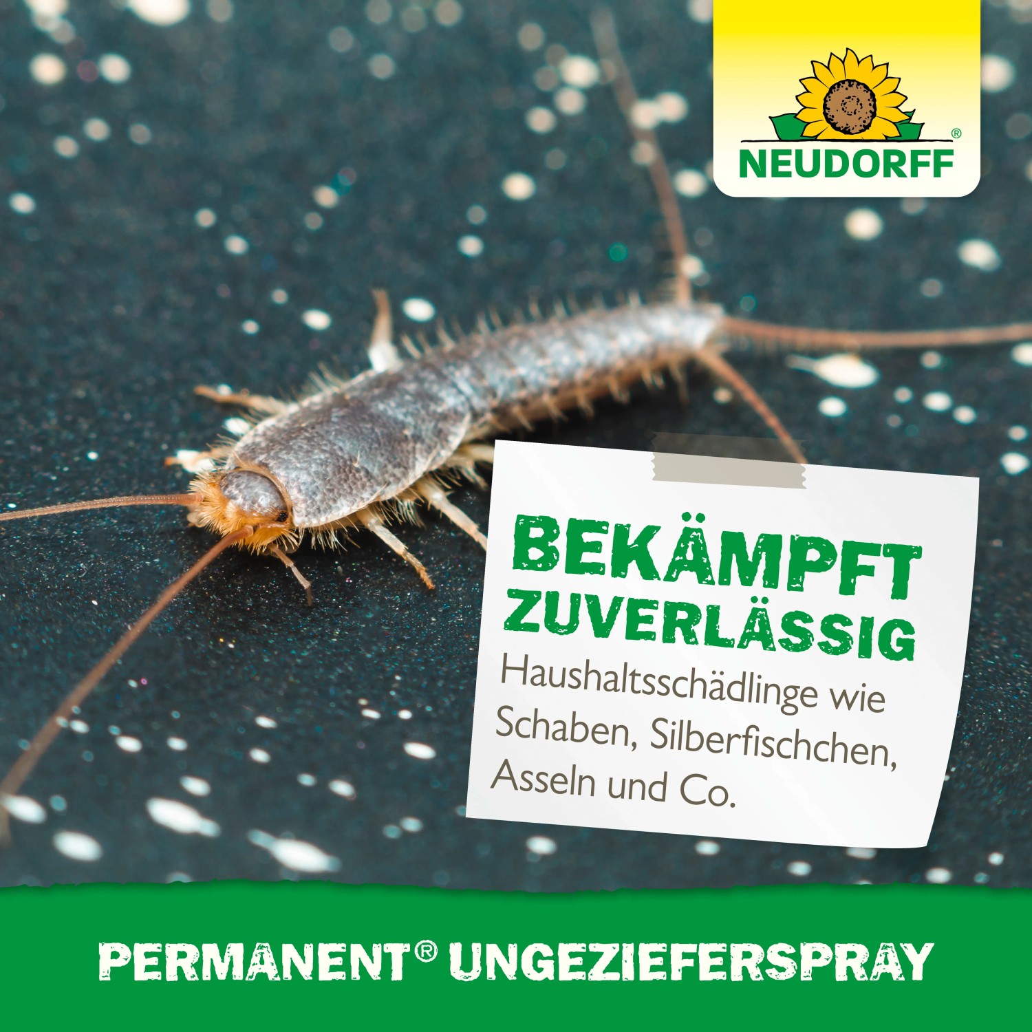 Silberfischchen auf dunklem Untergrund, beworben mit Neudorff Permanent Ungezieferspray.