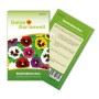 Samenpackung Stiefmütterchen Schweizer Riesen Mischung. Bunte Viola wittrockiana Blüten für den Garten.
