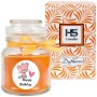 HS Candle Duftkerze Happy Birthday Honigmelone Katze im Glas mit Geschenkverpackung.