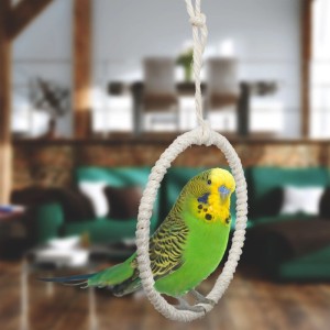 Wellensittich auf Relaxdays Vogelschaukel Ring aus Seegras und Edelstahl, 34x15cm.
