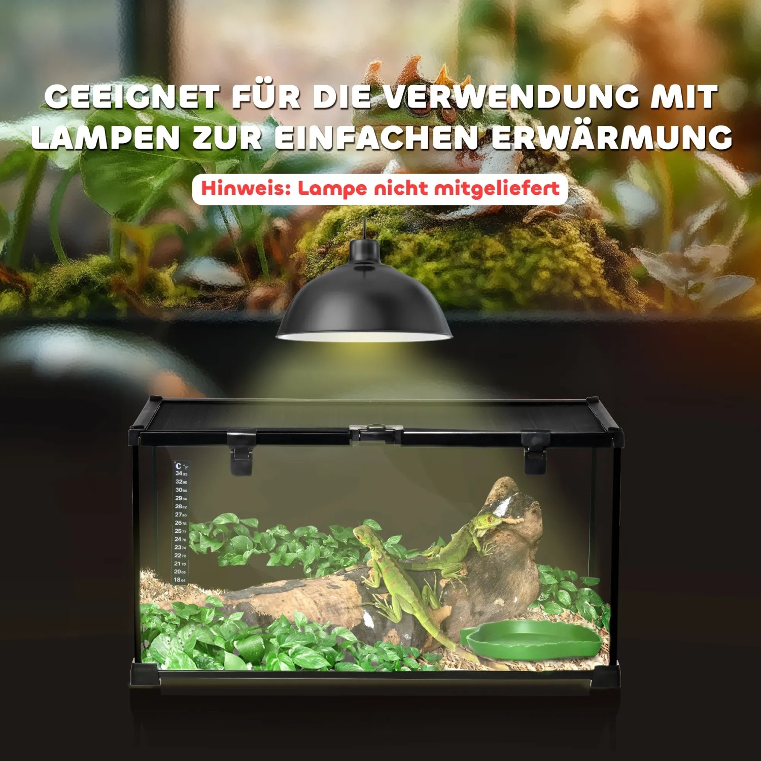 PawHut Terrarium für Reptilien mit Thermometer, eingerichtet mit Pflanzen und zwei kleinen Leguanen.