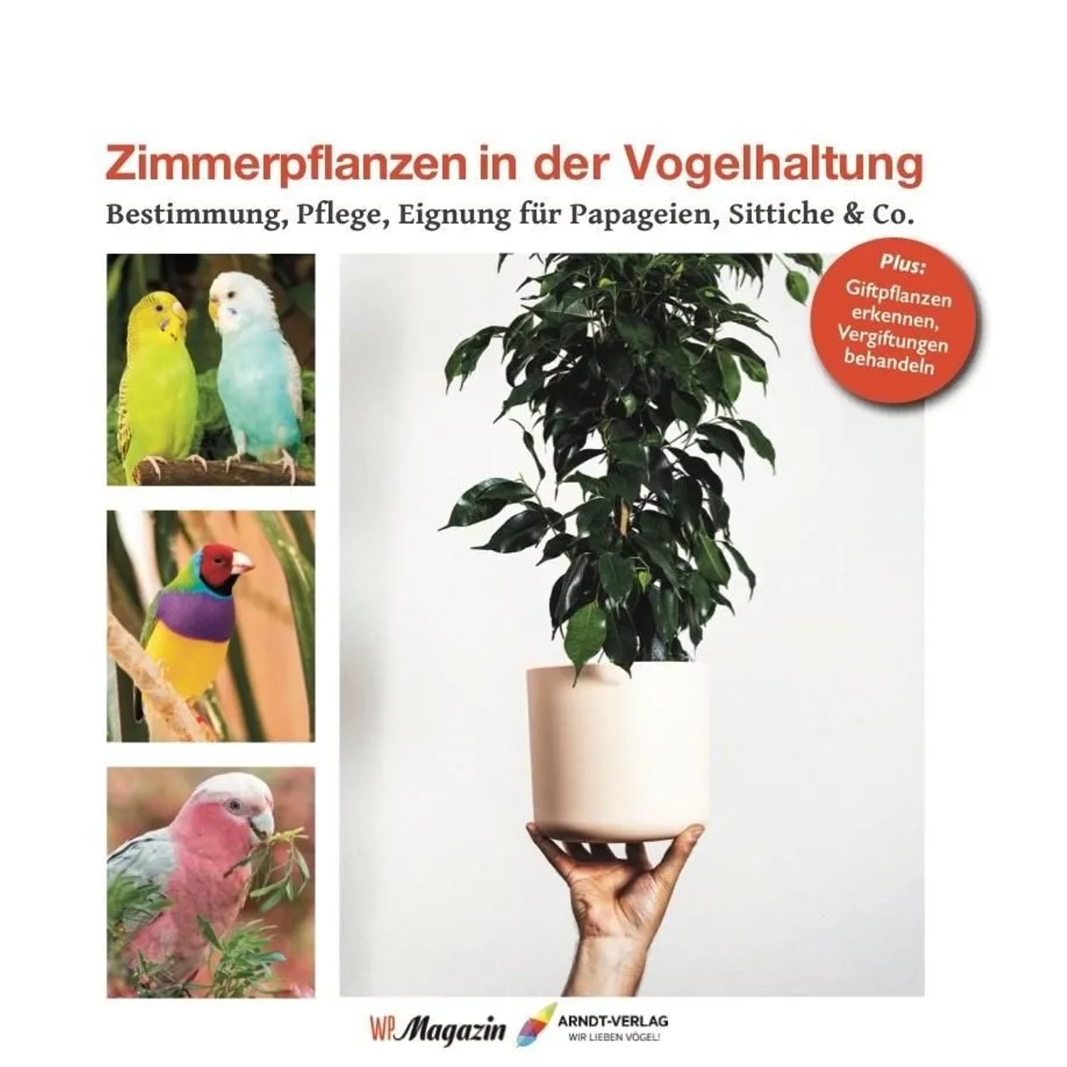 Zimmerpflanzen in der Vogelhaltung