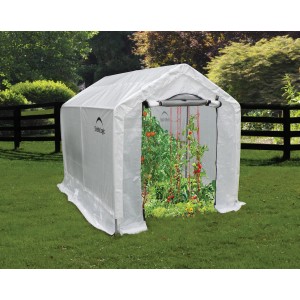 ShelterLogic Foliengewächshaus 180x240x200 cm mit Tomatenpflanzen im Garten.