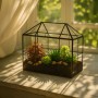 Schwarzes Relaxdays Pflanzenterrarium aus Glas in Hausform mit Sukkulenten auf einer Fensterbank.