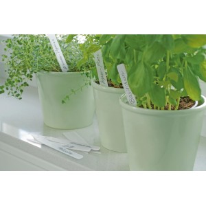 Stecketiketten (12 cm, 20 Stk.) in Pflanztöpfen mit Kräutern, beschriftet.
