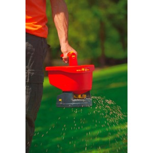 Wolf-Garten Universal-Streuer WE-B in Nutzung: Roter Streuwagen verteilt Saatgut auf Rasen.