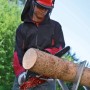 Mann sägt Holz mit der Einhell Benzin-Kettensäge GC-PC 1435 I TC Kit. Inkl. Schutzkleidung und Zubehör.