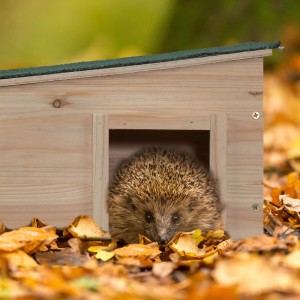 Relaxdays Igelhaus Tannenholz Hellbraun Grün mit Boden 2 Kammern Abnehmbares Dach 21,5 cm x 40 cm x 40 cm 3,4 kg