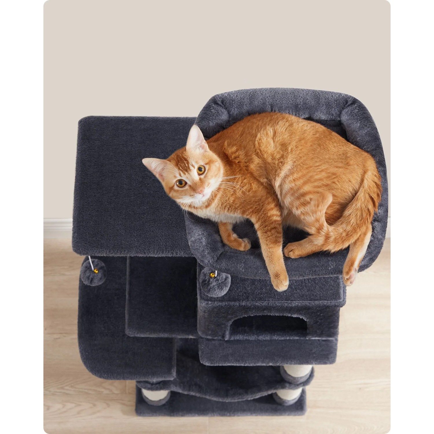 Orange Katze auf rauchgrauem Feandrea Kratzbaum mit 2 Plattformen, Kuschelhöhle und Spielbällen.