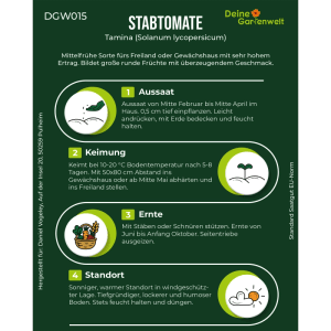 Grüne Infografik für Deine Gartenwelt Stabtomaten Tamina Samen. Zeigt Anbauanleitung mit Symbolen für Aussaat, Keimung, Ernte, Standort.