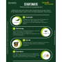 Grüne Infografik für Deine Gartenwelt Stabtomaten Tamina Samen. Zeigt Anbauanleitung mit Symbolen für Aussaat, Keimung, Ernte, Standort.
