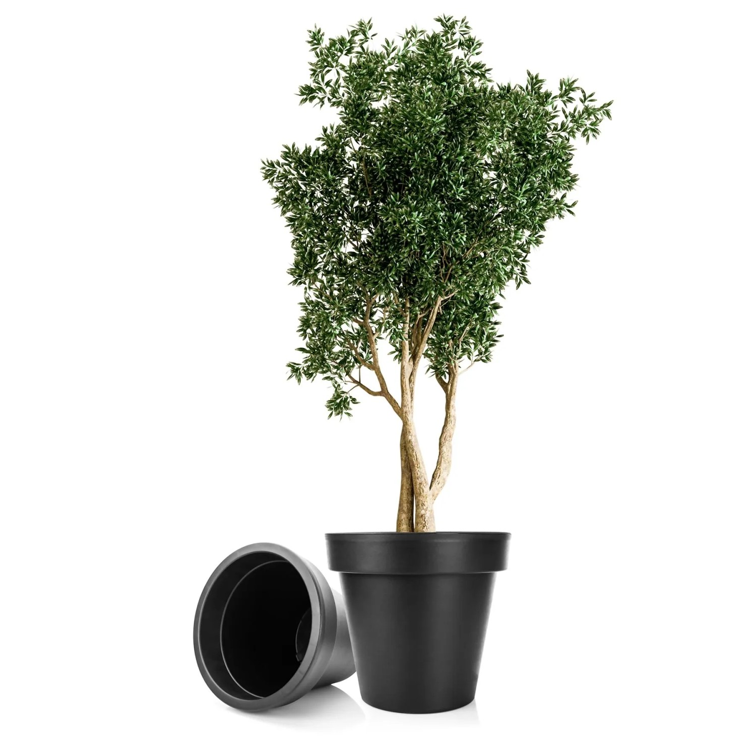 BigDean 2X Blumentopf XXL Durchmesser 60 Cm Classic Anthrazit Mit 360 Grad Rollen Wiederverschließbarer Wasserablauf Wetterfester Kunststoff BigDean 2X Blumentopf XXL ø60 cm Classic anthrazit - mit 360 Grad Rollen wiederverschließbarer Wasserablauf - wetterfester Kunststoff - Pflanzkübel