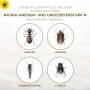 Anwendungsbereiche von Natria Ameisen- und Ungeziefer Stopp: Ameisen, Wanzen, Silberfischchen und Fliegen.