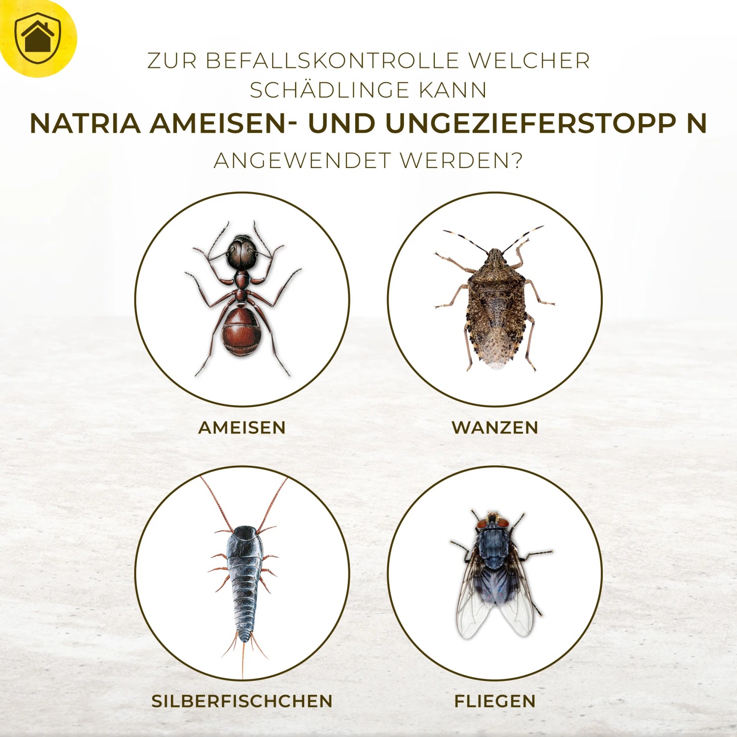 Anwendungsbereiche von Natria Ameisen- und Ungeziefer Stopp: Ameisen, Wanzen, Silberfischchen und Fliegen.