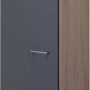Flex-Well Geschirrschrank Morena, 50 cm, Basaltgrau/San Remo Eiche, mit Drehtür und Einlegeböden.