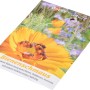 Samenmischung Bienenschmaus für Insektenhotels, Dobar Wildblumenmischung für Bienen und andere Insekten.