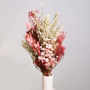 Lykke&You Ein Hauch von Rosa Trockenblumenstrauß mit Hafer Broom Bloom Lagurus und Glixia