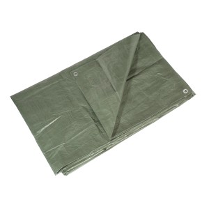 Grüne LUX Abdeckplane 2x3m aus PE-Kunststoff mit Ösen für Haus und Garten.
