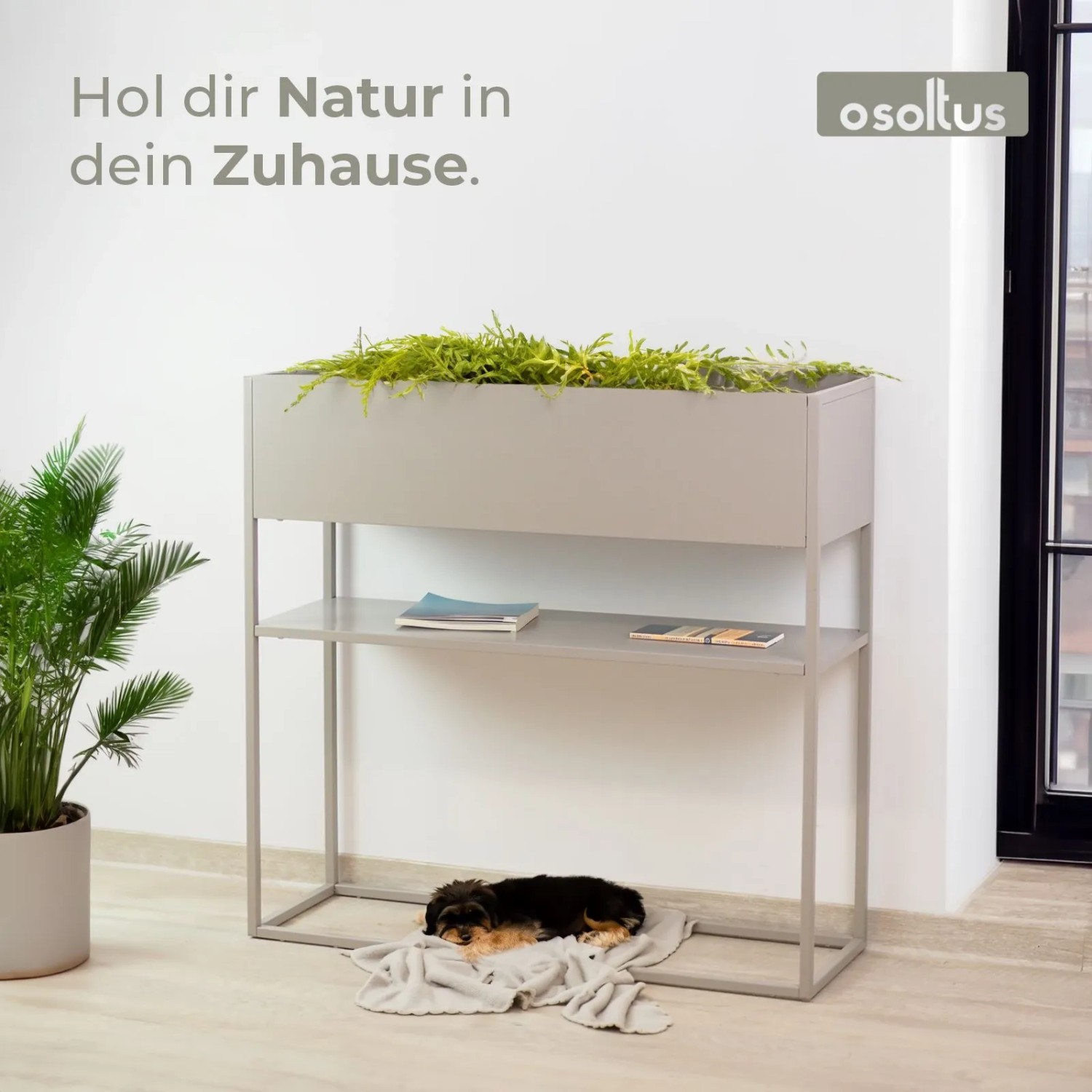 osoltus Pflanzkasten Raumteiler Cube, warmgraue Stahl-Konsole 80 cm. Mit Pflanzen oben, Ablage unten. Industrielles Design.