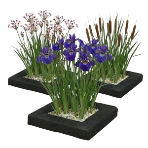 Drei schwarze Teich Pflanzeninseln mit blauen Schwertlilien, rosa Schwanenblumen und Rohrkolben. Komplettset für Teiche.