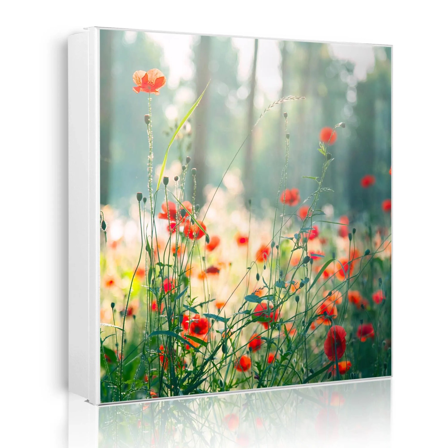 Banjado Großer Schlüsselkasten Metall 30x30cm Weiß Scharnier Rechts 50 Haken Beschreibbar Magnetisch Motiv Waldmohn