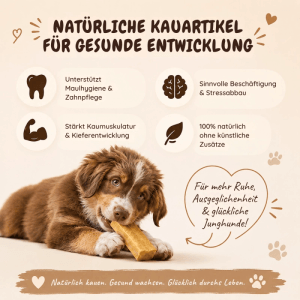 Wildfang Welpen Paket Willkommen Jungspund S