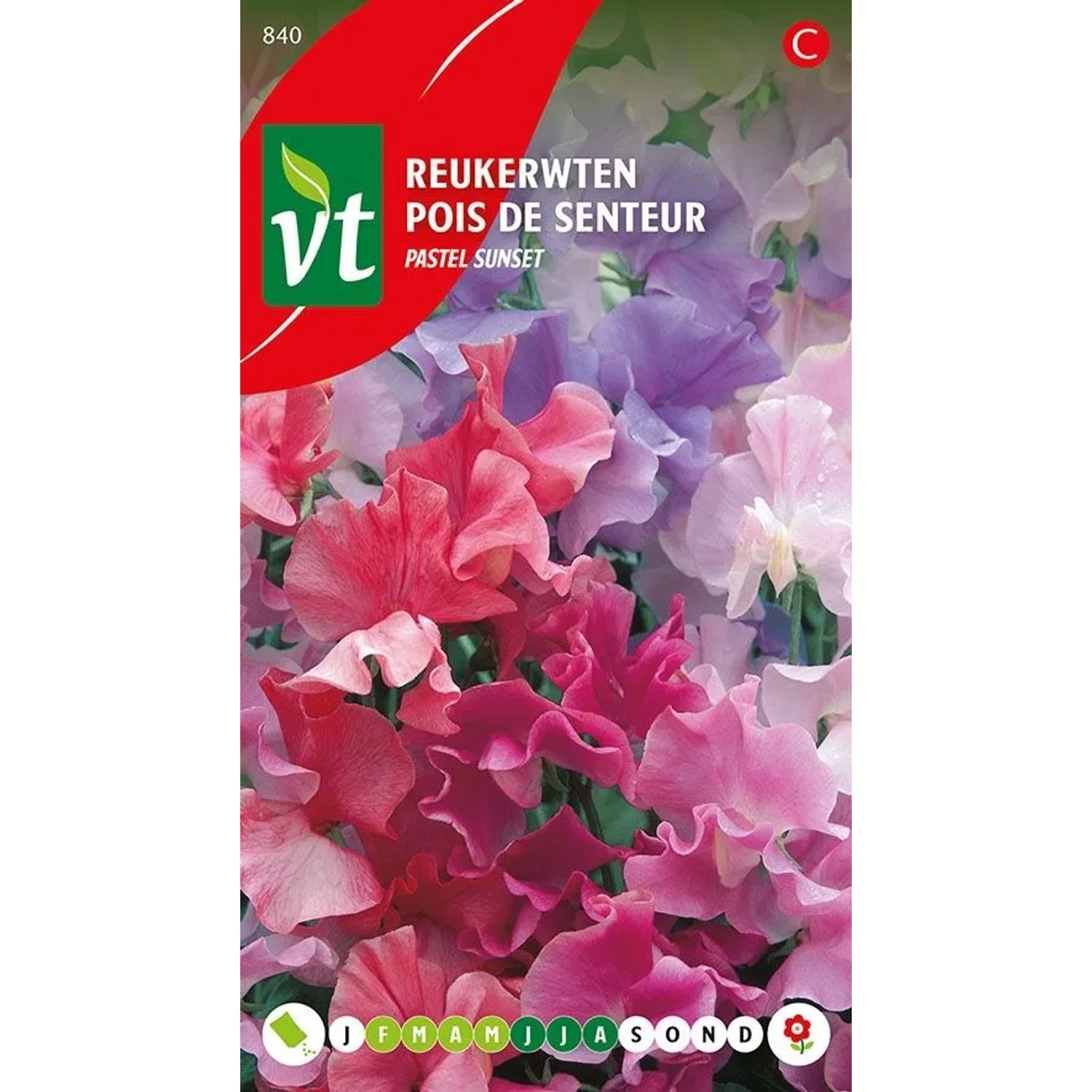 Duftwicke 'Pastell Mix' Saatgut ca. 4 g Bunte Blüten