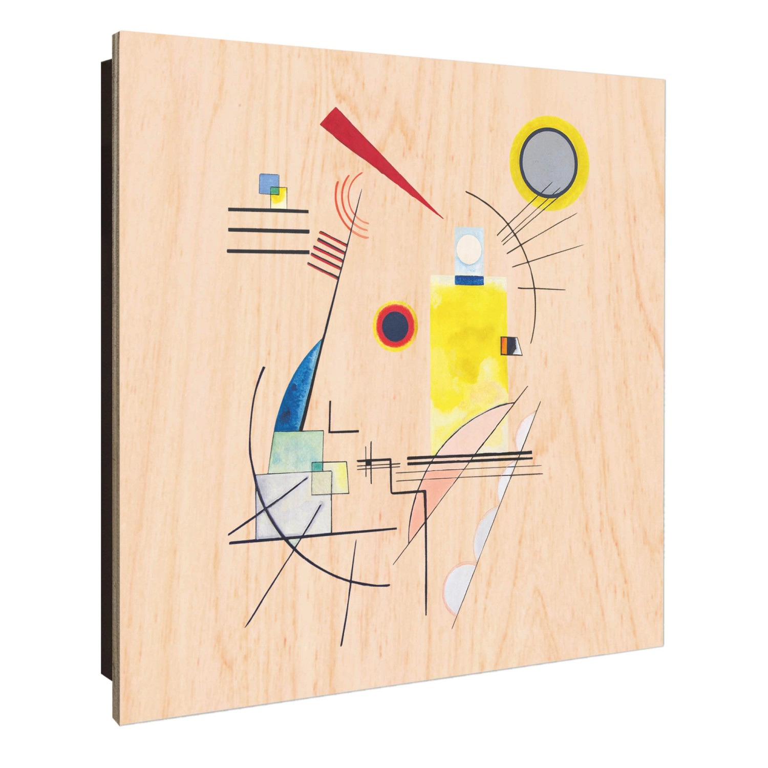 Banjado Großer Schlüsselkasten Holz 30x30cm Schwarz Scharnier Links 50 Hake günstig online kaufen