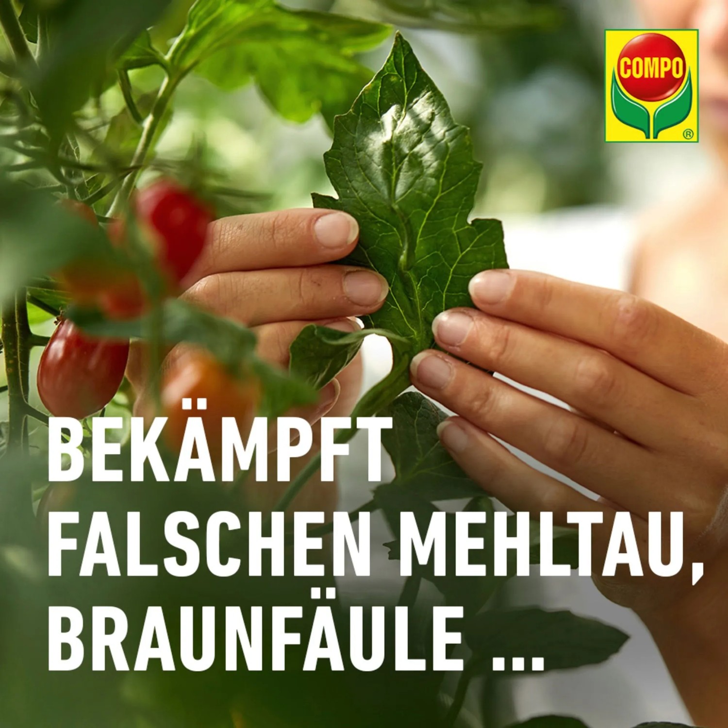 compo rasendnger floranid COMPO EXPERT Rasen Floranid mit Unkrautvernichter  Dngerprofi24