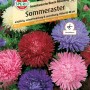Samenpackung Sommeraster Amerikanische Busch-Mischung mit bunten Asternblüten.
