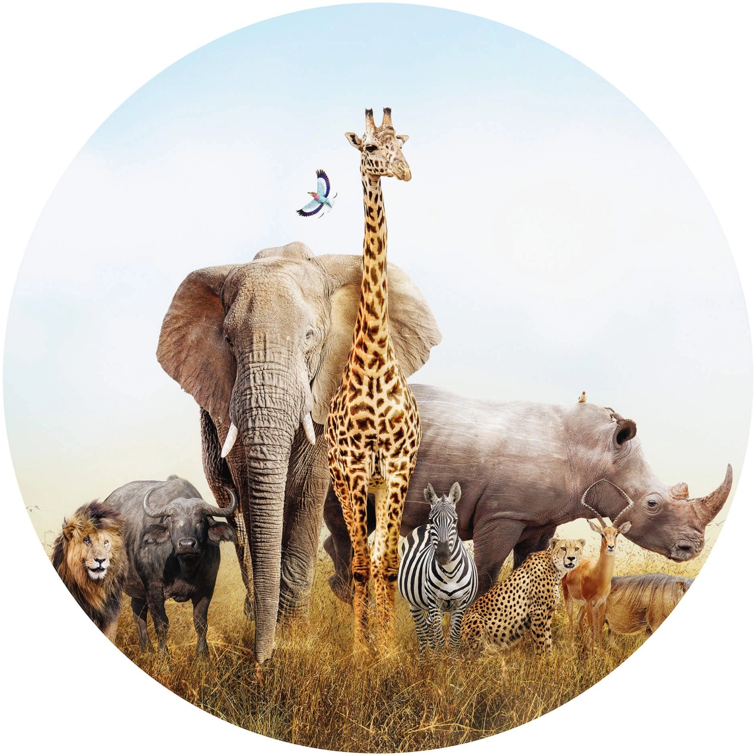 Erfurt Fototapete Vlies African Safari Ø 140 cm