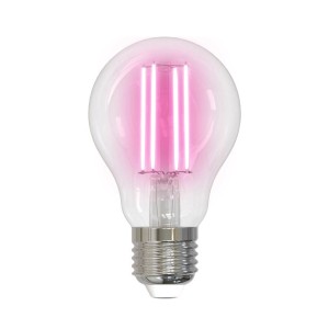 Transparente Arcchio E27 Pflanzenlampe aus Glas mit pinkfarbenem Licht für Pflanzenwachstum.
