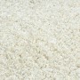 Cremefarbener RugsX Soffi Shaggy-Teppich mit langem, flauschigem Flor. Weiche Textur für gemütliche Räume.