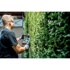 Mann schneidet Hecke mit Metabo Akku-Heckenschere HS 18 LTX BL 55. Leistungsstark und kabellos.