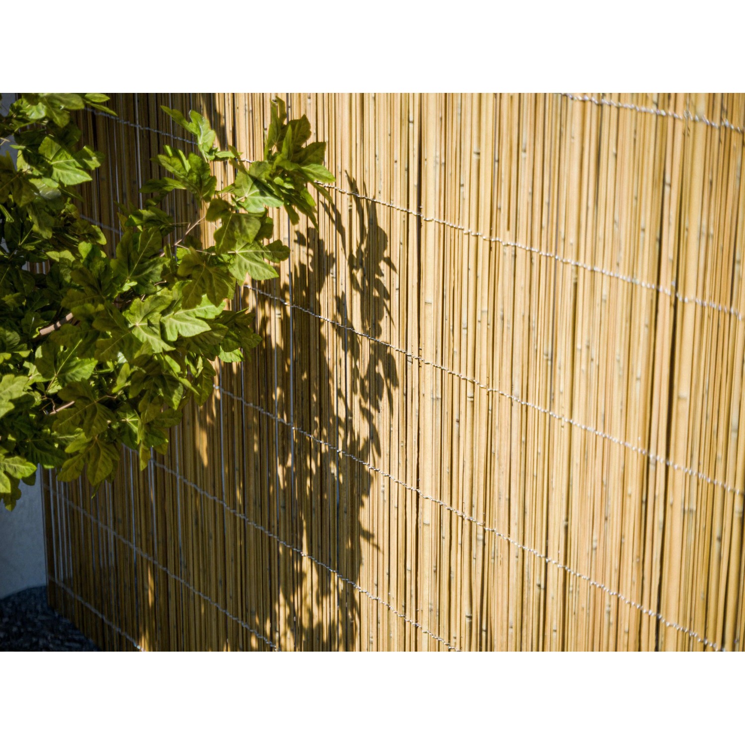 Outgarden Sichtschutz Schilfrohrmatte Föhr 300 x 100 cm