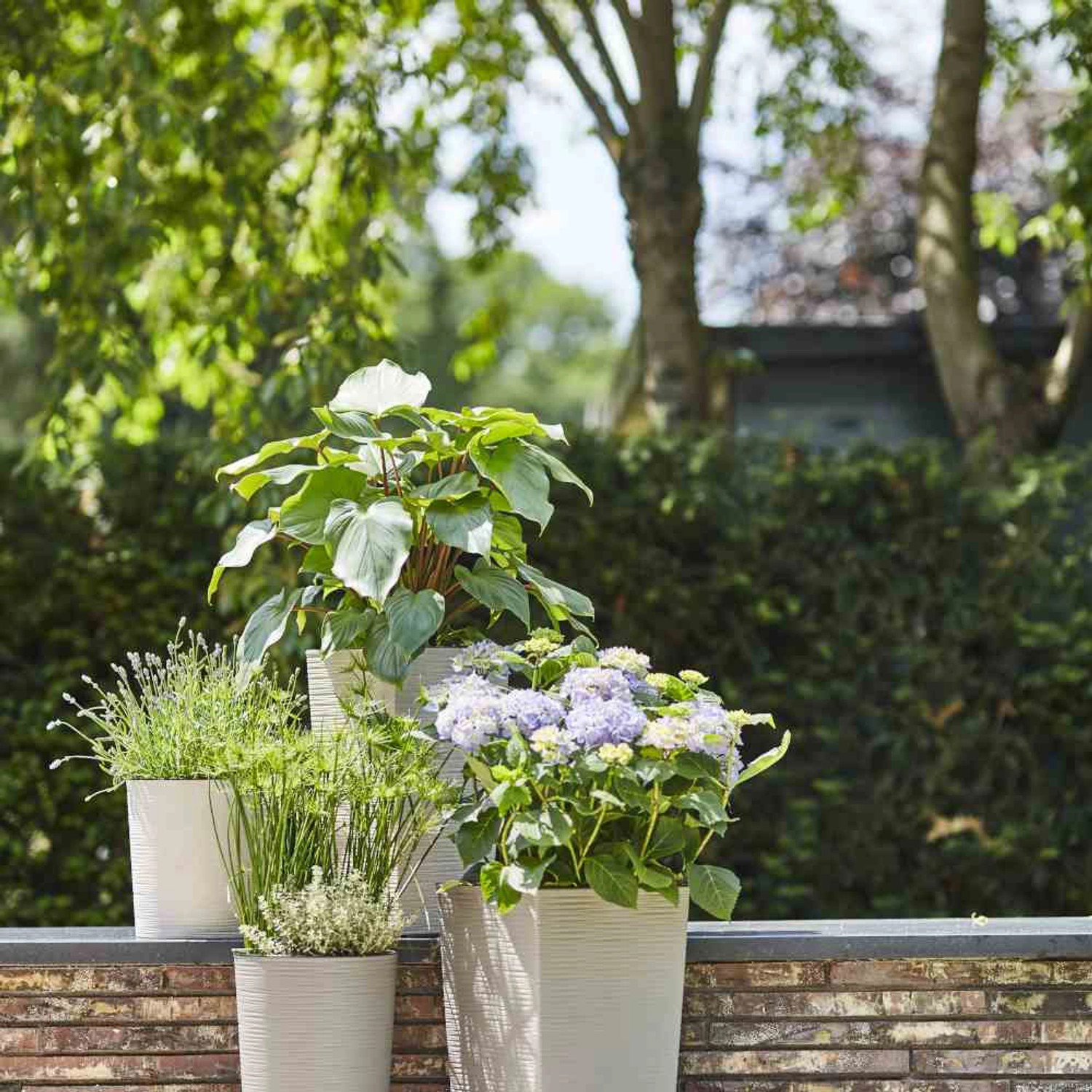 Siena Garden Pflanzsäule Eco Nizza, weiße Pflanzgefäße mit Bepflanzung im Garten.