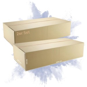 Offener, brauner PROREGAL Faltkarton (1200x600x310 mm) für Versand und Umzug.