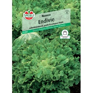 Samenpackung Sperli Endivie Nuance, zartblättrige und ertragsreiche Salatsorte für den Garten.