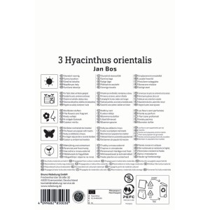 Verpackung Kiepenkerl Hyazinthe Jan Bos, rosafarbene Blumenzwiebeln für Beet und Balkon.
