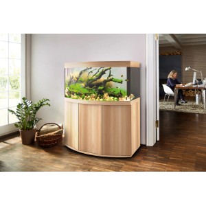 Juwel Vision 260 LED Aquarium-Set in hellem Holz mit gebogener Frontscheibe und Unterschrank.