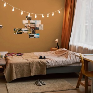 Tadessi Wandfarbe Rot Wall Select Kastanie Matt Dispersion 1 l