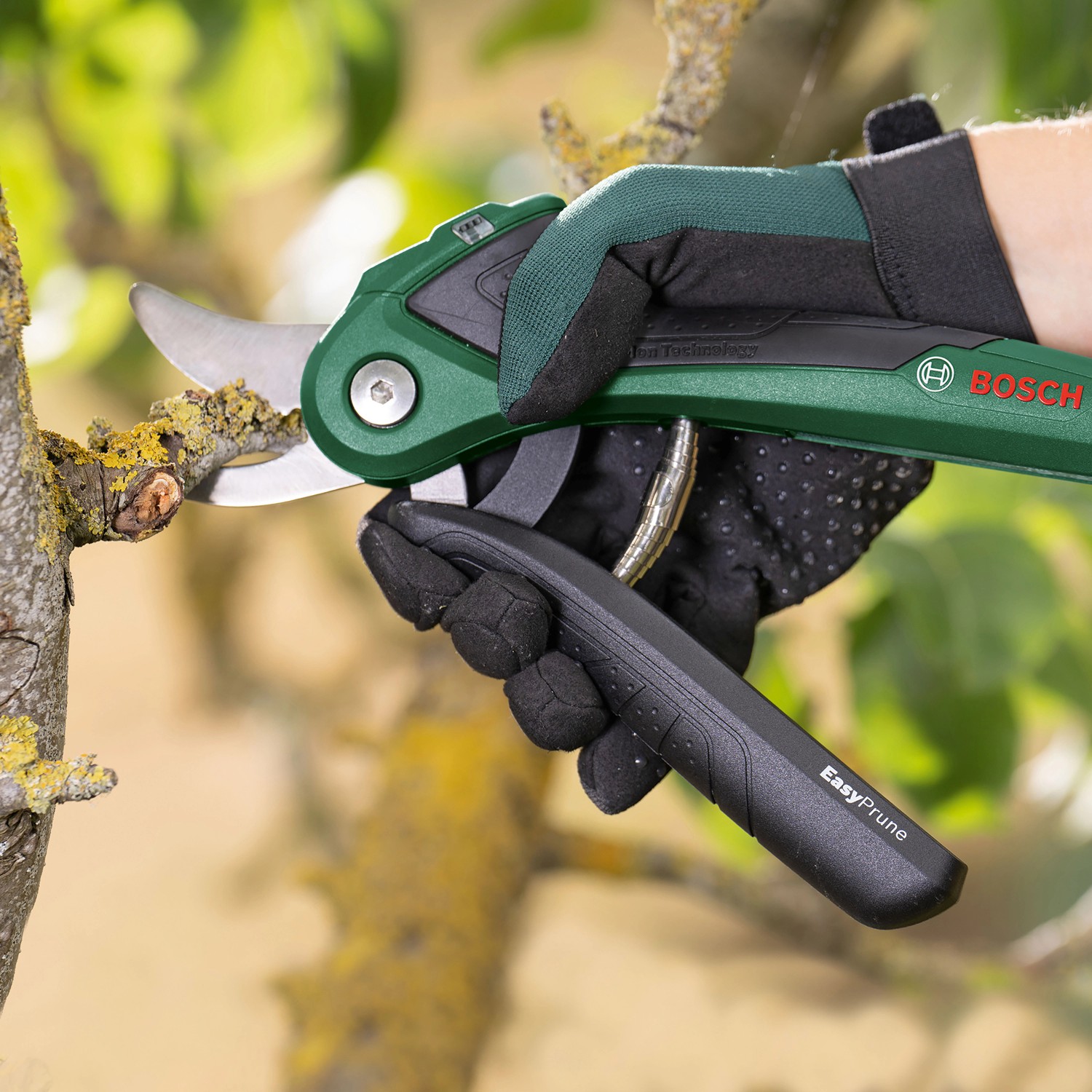 Bosch EasyPrune Akku-Gartenschere im Einsatz beim Schneiden eines Astes.
