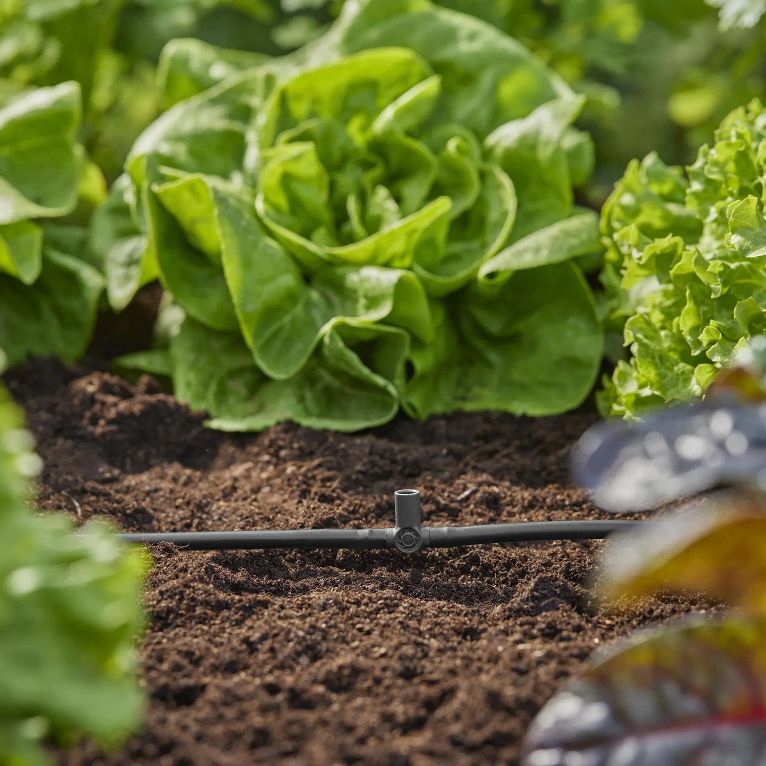 Gardena T-Stück 4,6 mm im Beet mit Salatpflanzen, Teil des Micro-Drip-Systems.