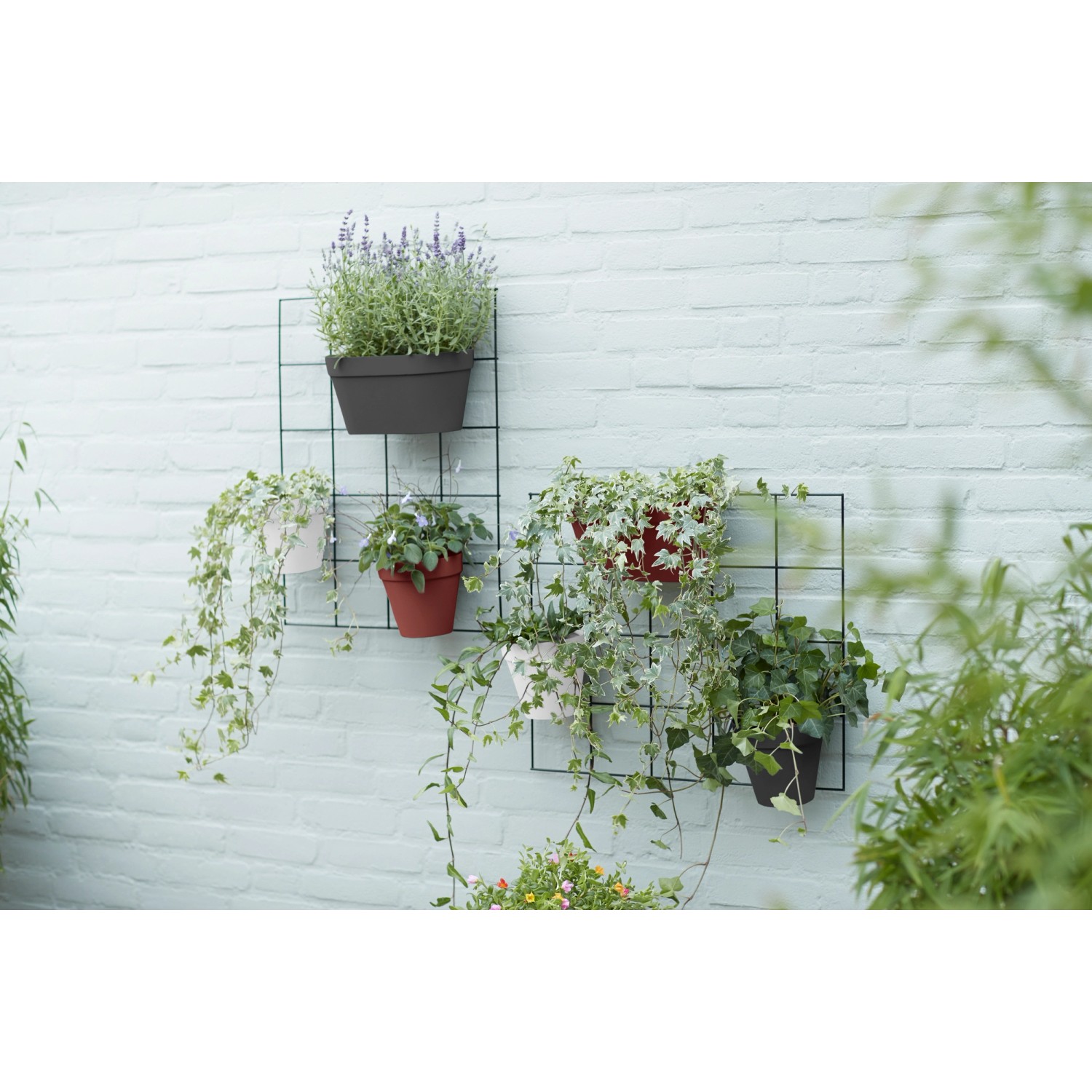 Elho Loft Urban Duo Hängetöpfe (klinkerrot) an Wandgitter mit Pflanzen.