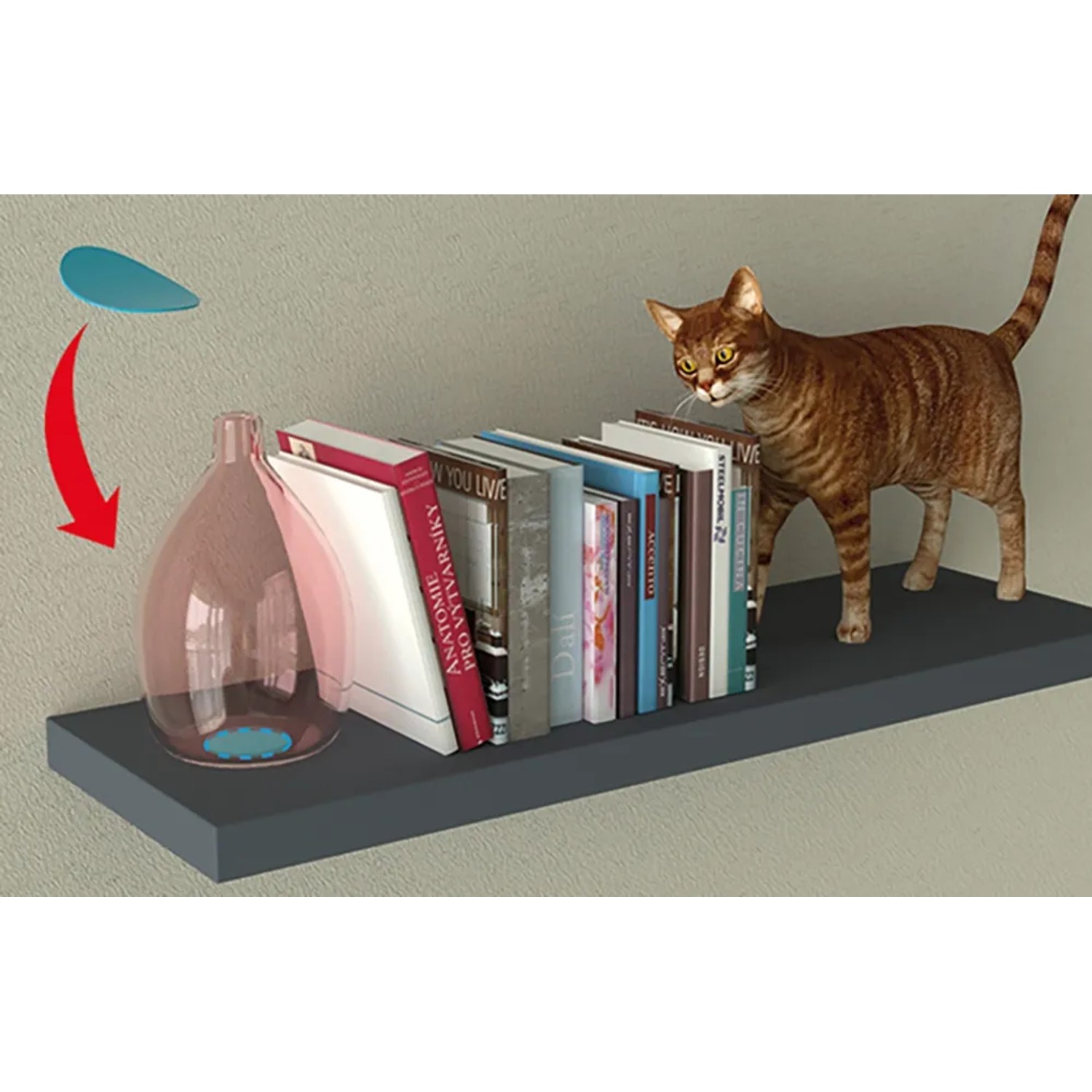 Anwendungsbeispiel: Fischer Vakuum Pad mit Katze, Bücher und Deko auf einem Regal.