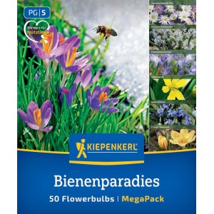 Kiepenkerl Bienenparadies Blumenzwiebeln: Krokusse, Tulpen, Anemonen. 50 Stück Mega Pack für Nützlinge, frühblühend.